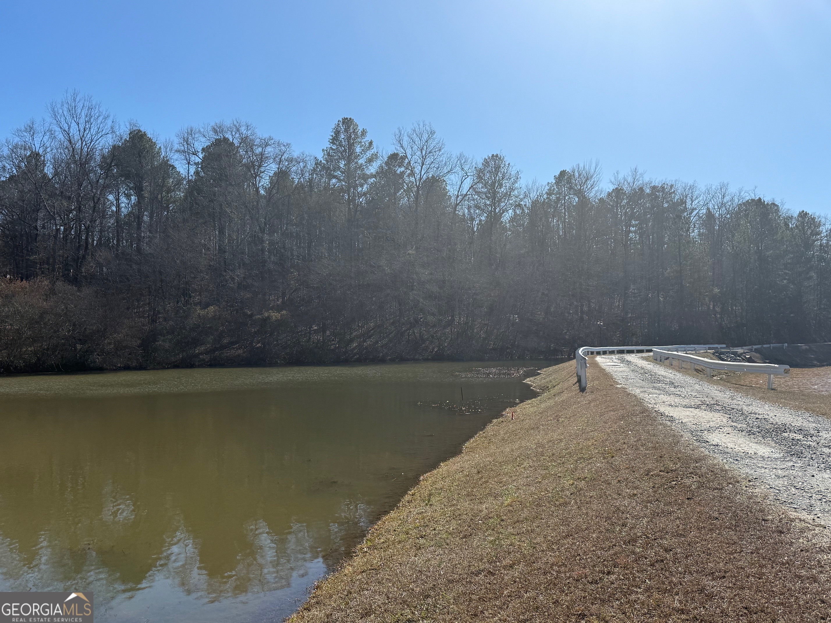 7.725-ac Slalom Pass Forsyth, GA 31029 - Photo 9 of 24