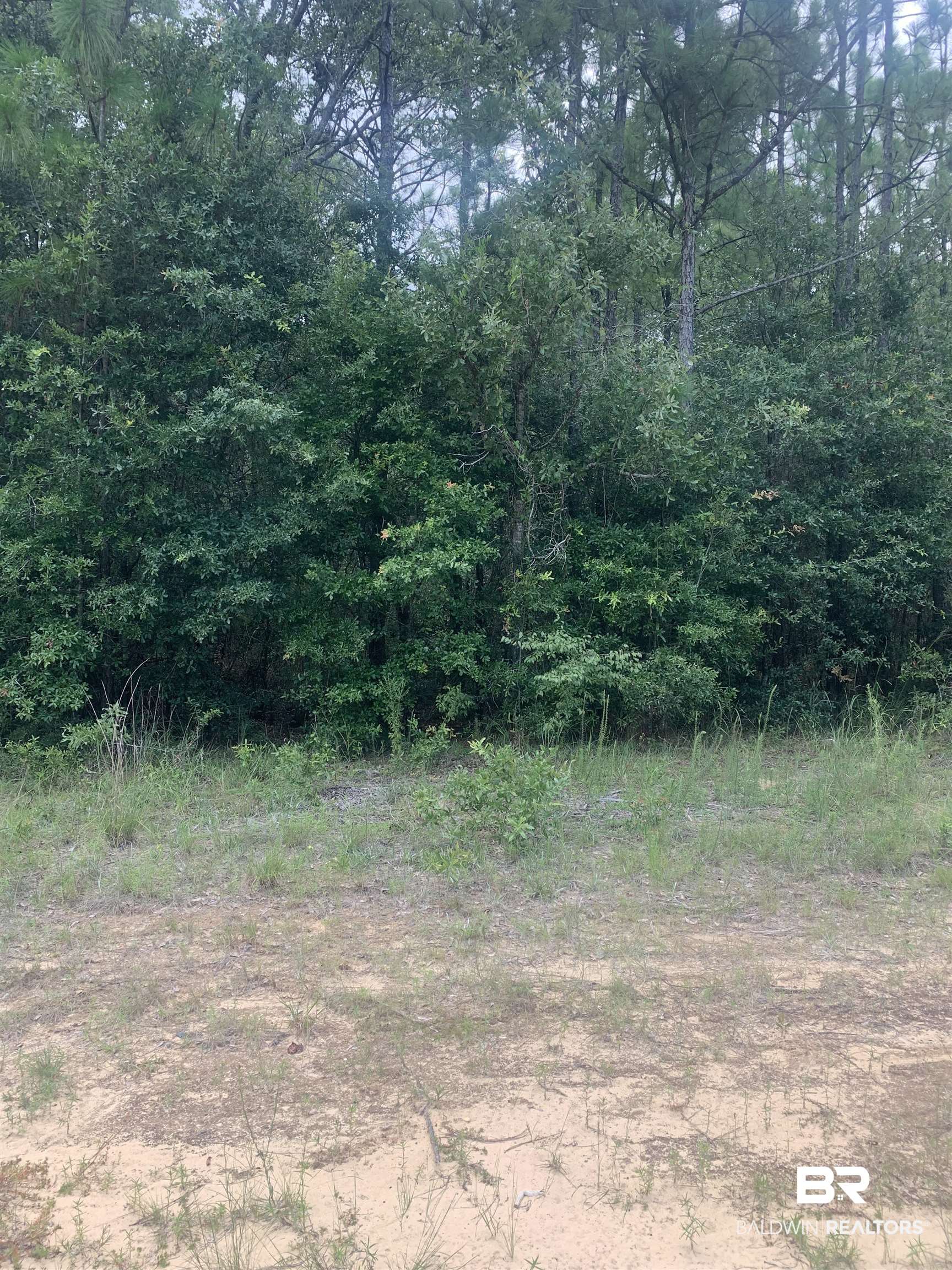 225 Highway Spanish Fort Daphne, AL 36527 - Photo 1 of 3