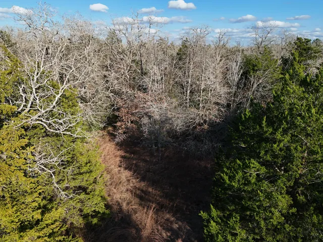 $100,000 | Lot 4 South Old Potato Road, Paige, TX 78659