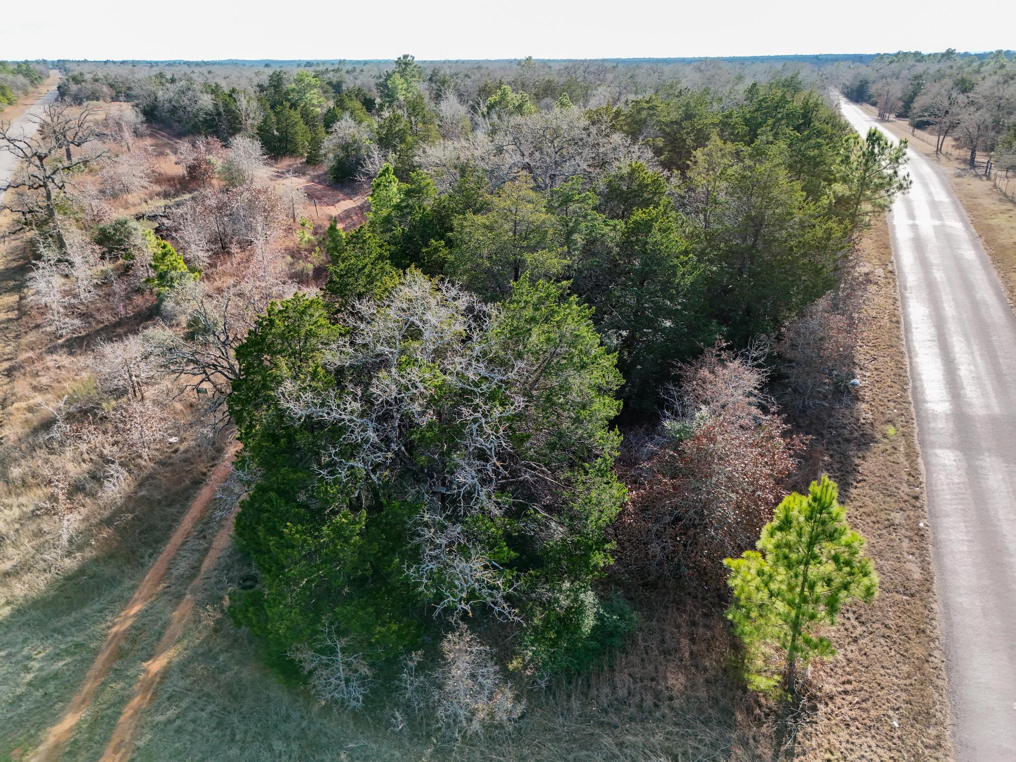 Lot 4 South Old Potato Road Paige, TX 78659 - Photo 7 of 17 Aerial view