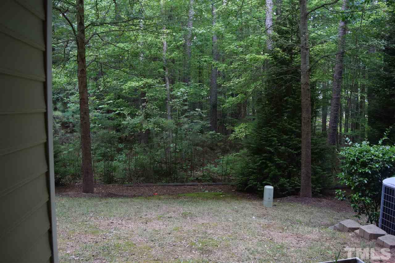 5045 Celtic Court Raleigh, NC 27612 - Photo 15 of 25 a view of a forest with trees in front of it