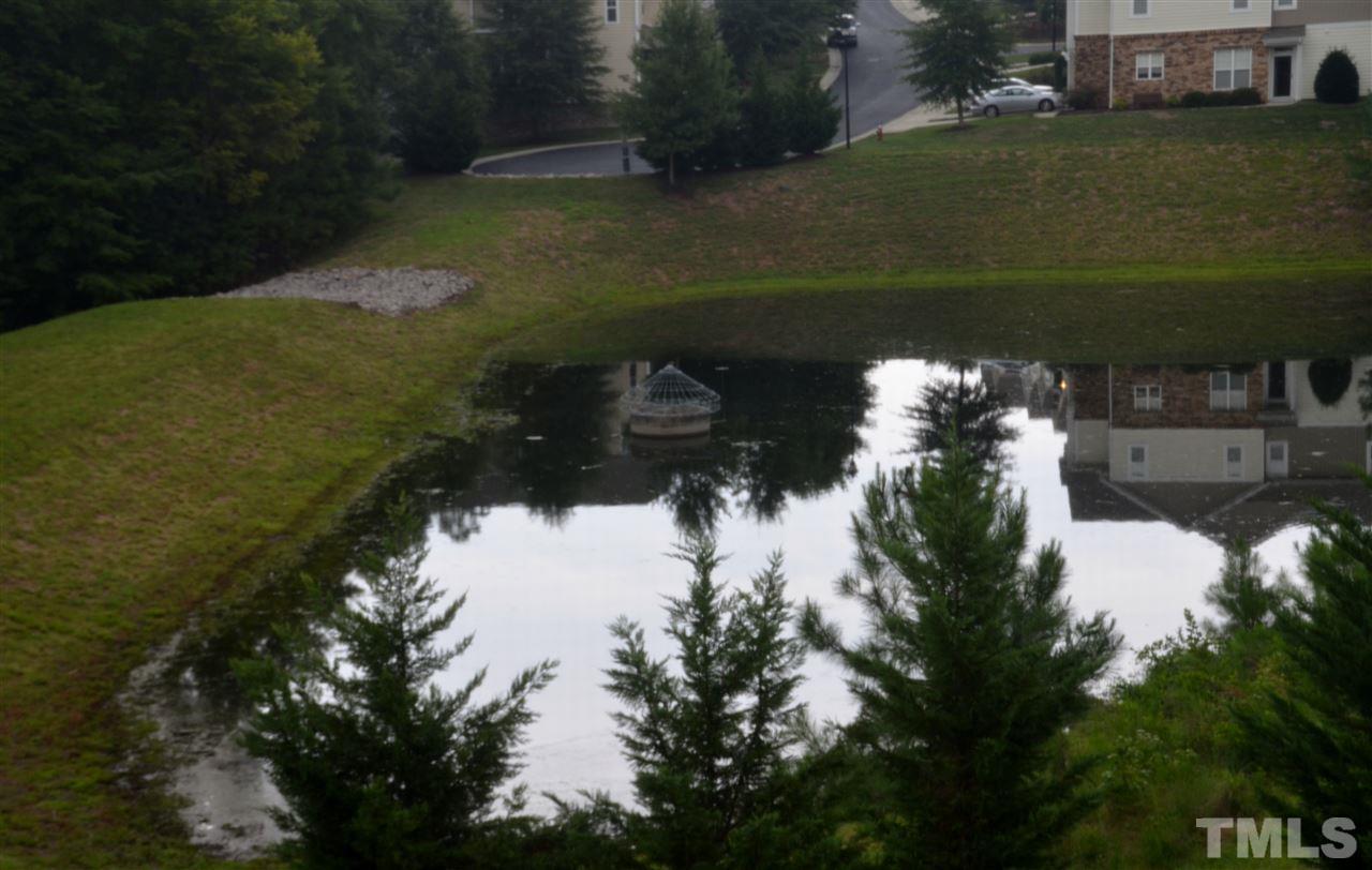 5045 Celtic Court Raleigh, NC 27612 - Photo 21 of 25 a view of a lake in middle of forest