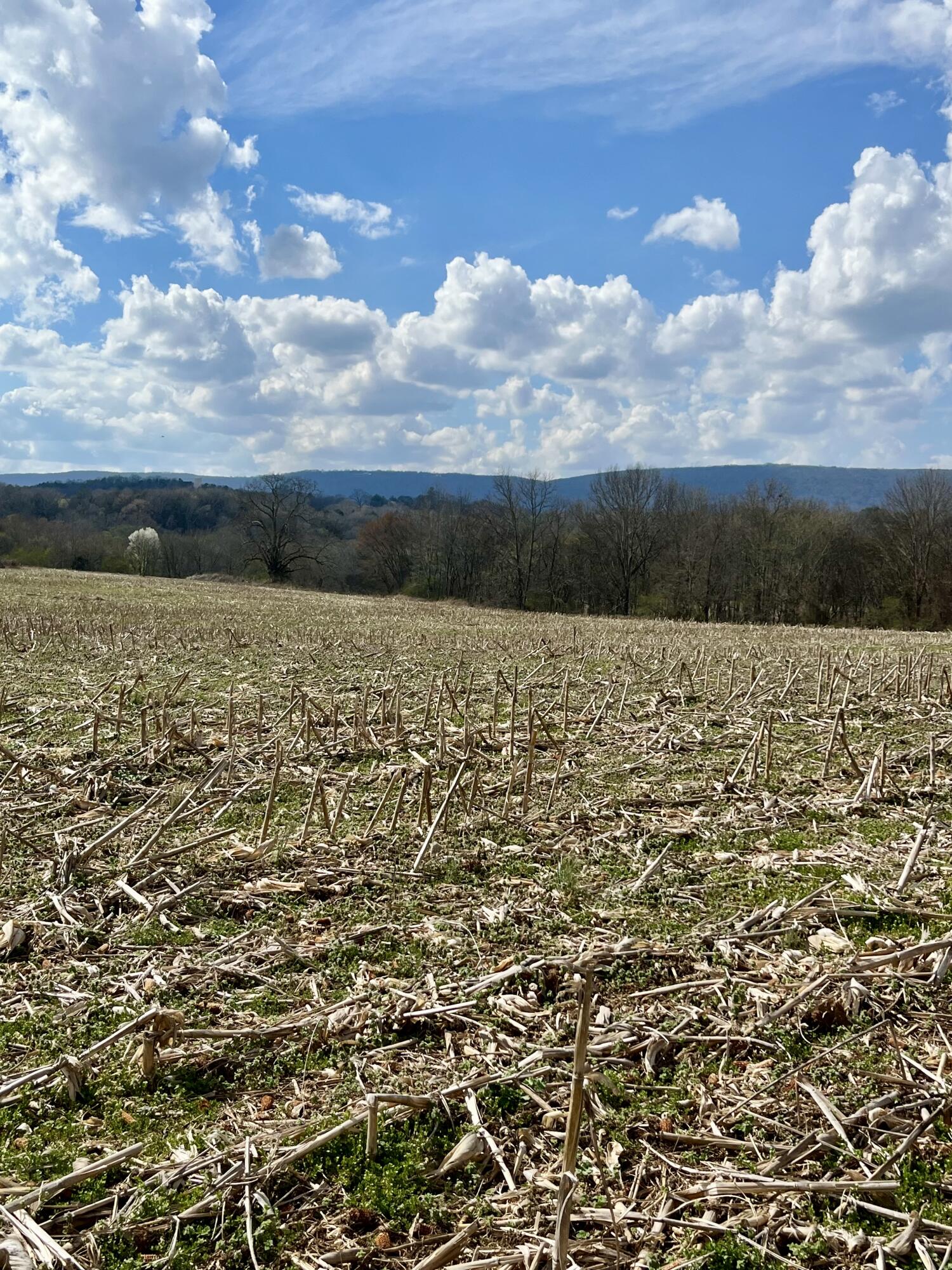 7799 East Valley Road Dunlap, TN 37327 - Photo 12 of 26 ev15