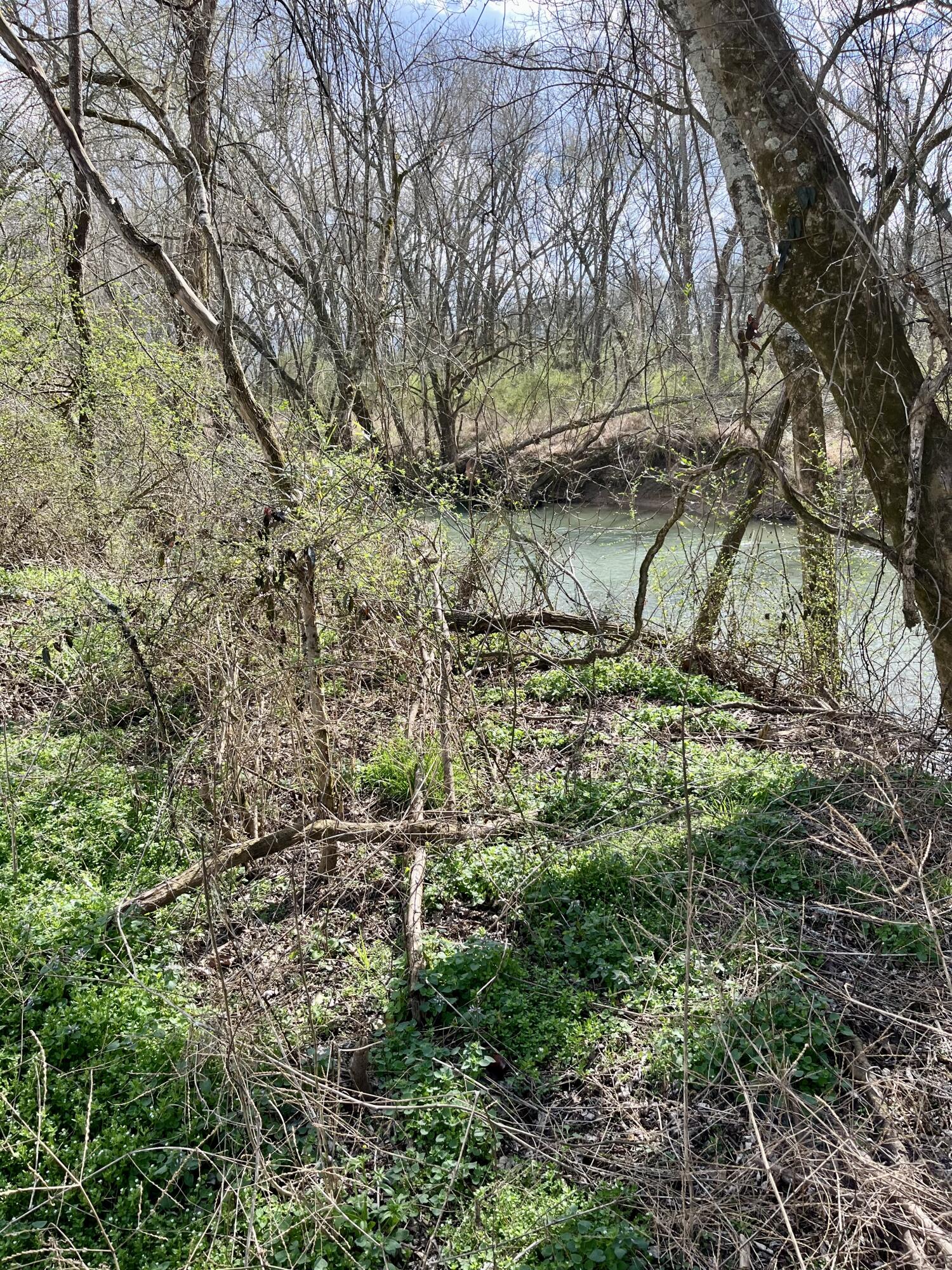 7799 East Valley Road Dunlap, TN 37327 - Photo 19 of 26 ev1