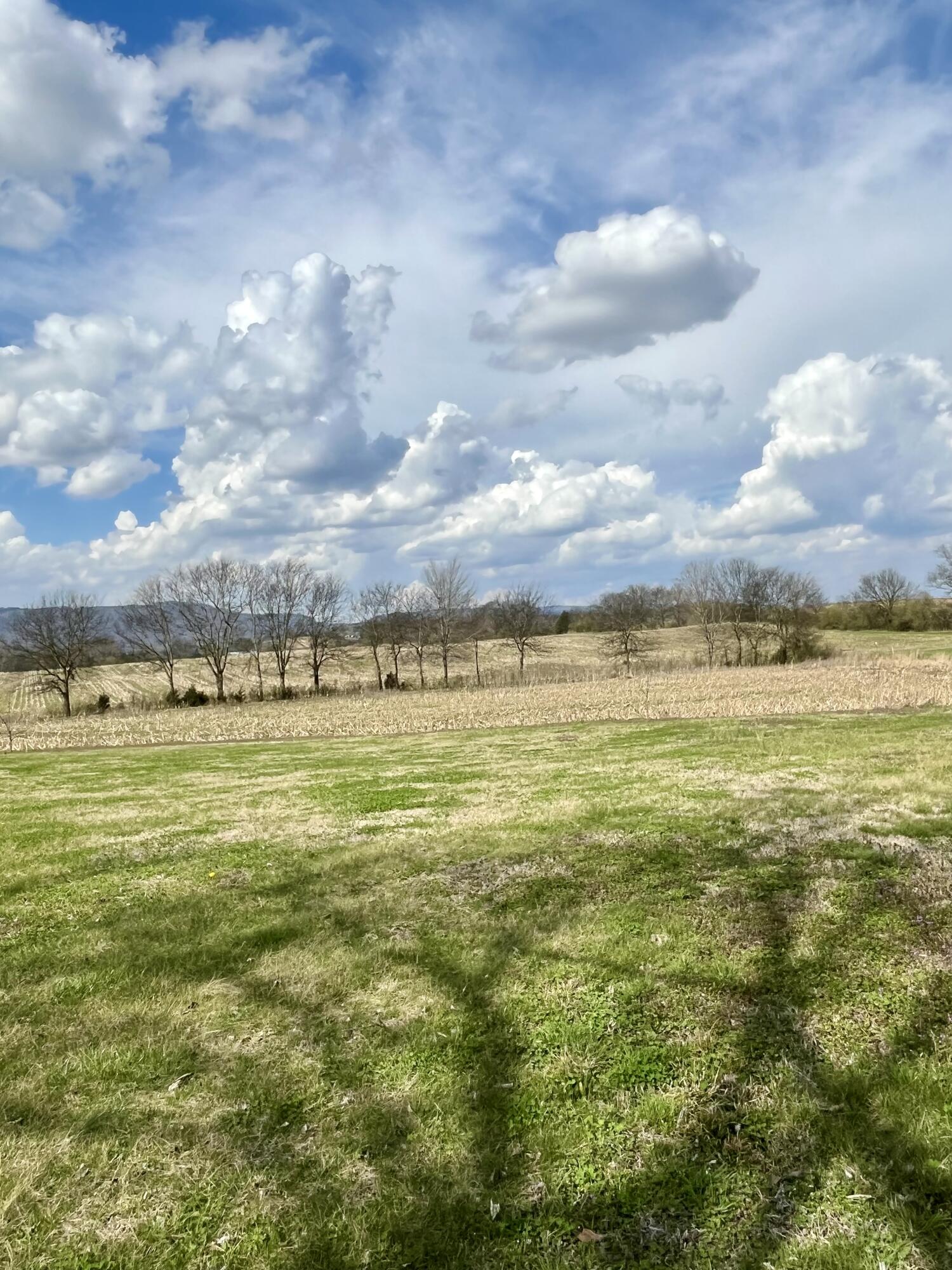 7799 East Valley Road Dunlap, TN 37327 - Photo 23 of 26 ev21