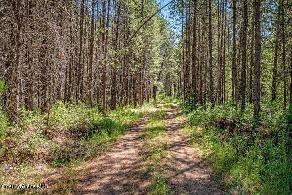 2013 Homestead Road Athol, ID 83801 - Photo 4 of 20 --6.jpg-SMALL