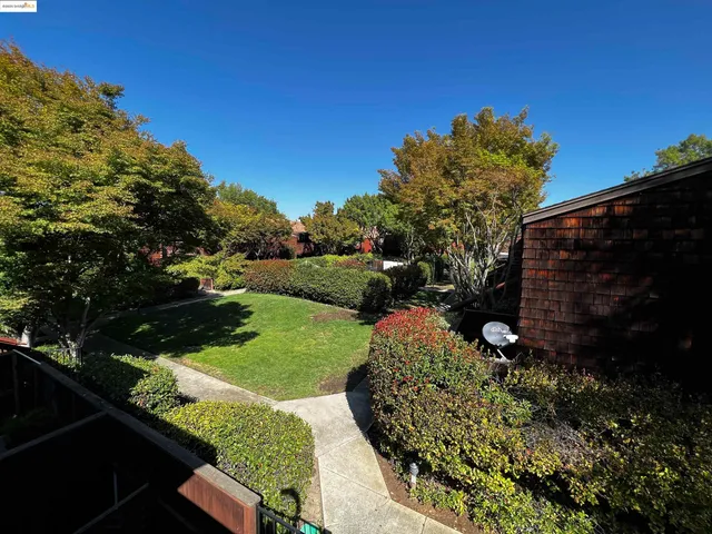 a view of a backyard with plants