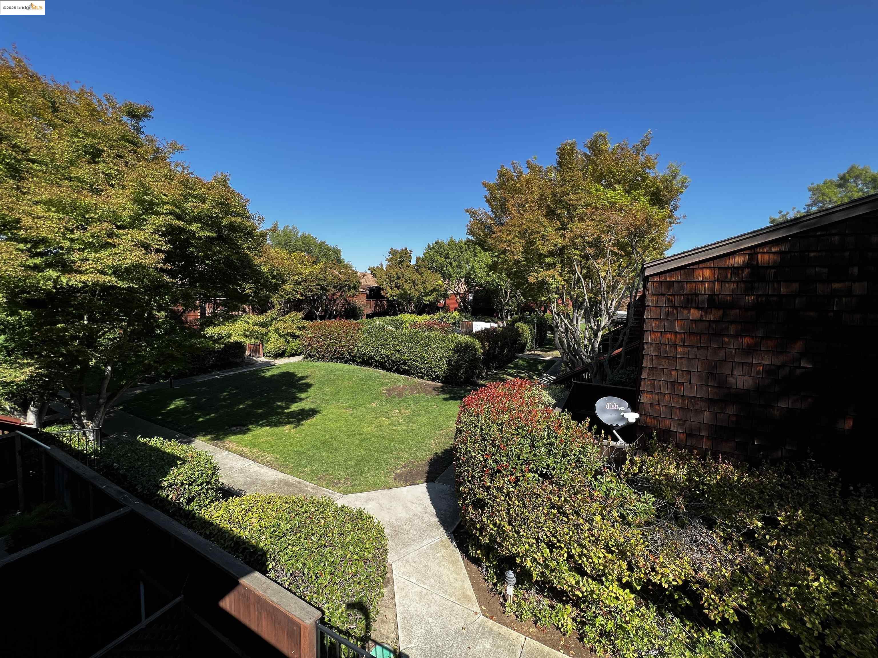 a view of a backyard with plants