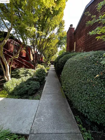 a view of a pathway both side of the house