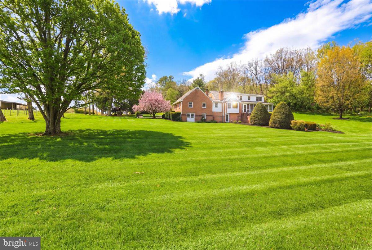 6501 Green Valley Road New Market, MD 21774 - Photo 49 of 55 Expansive yard!