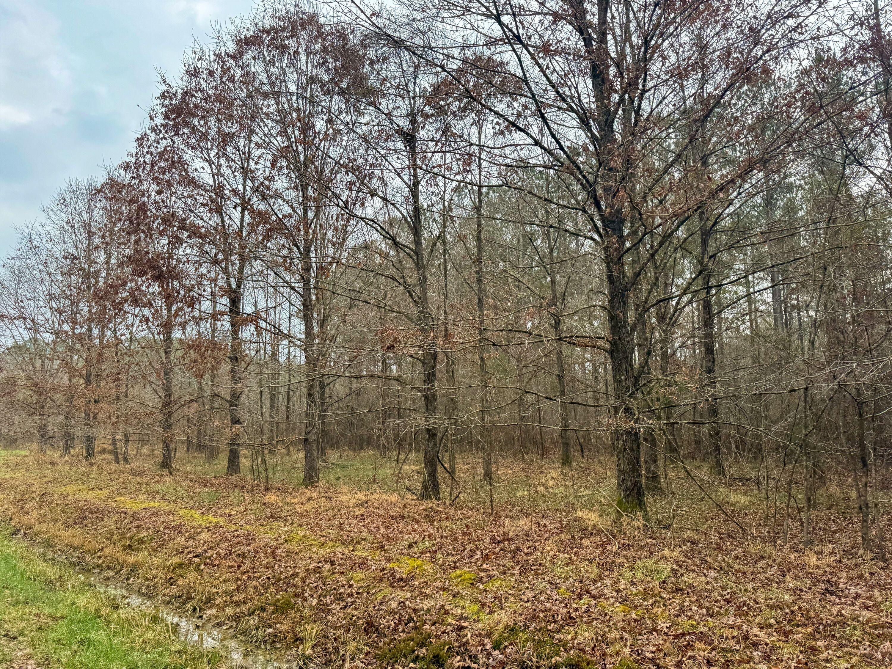 731 Wright Road Tremont, MS 38876 - Photo 51 of 76 Gallery Image 51