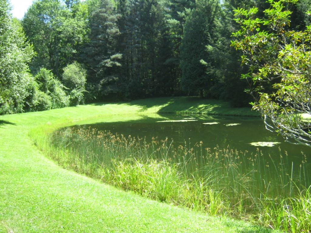 2338 Litchfield Road Watertown, CT 06795 - Photo 1 of 1 a view of a big yard with large trees