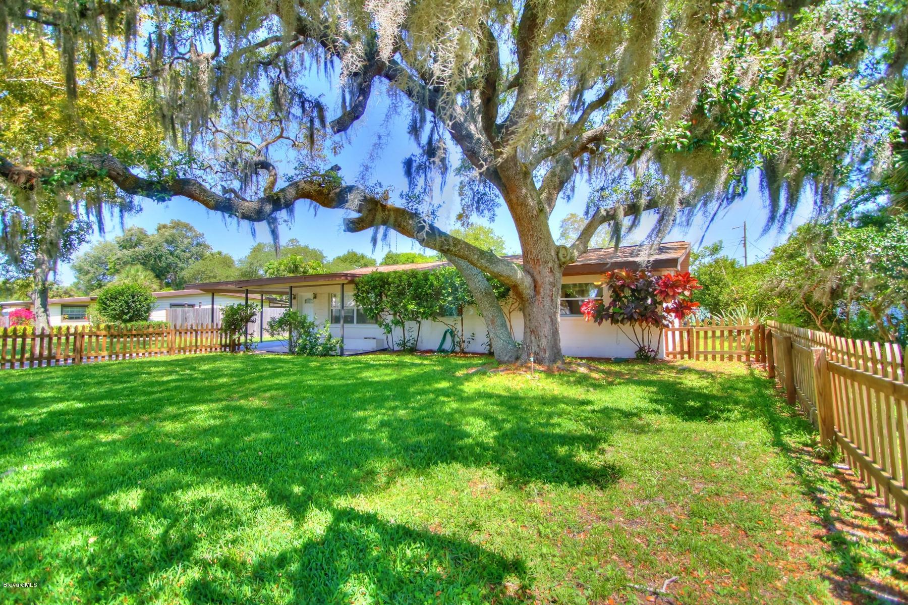 972 Sarno Road Melbourne, FL 32935 - Photo 3 of 20 Gorgeous Oak Tree