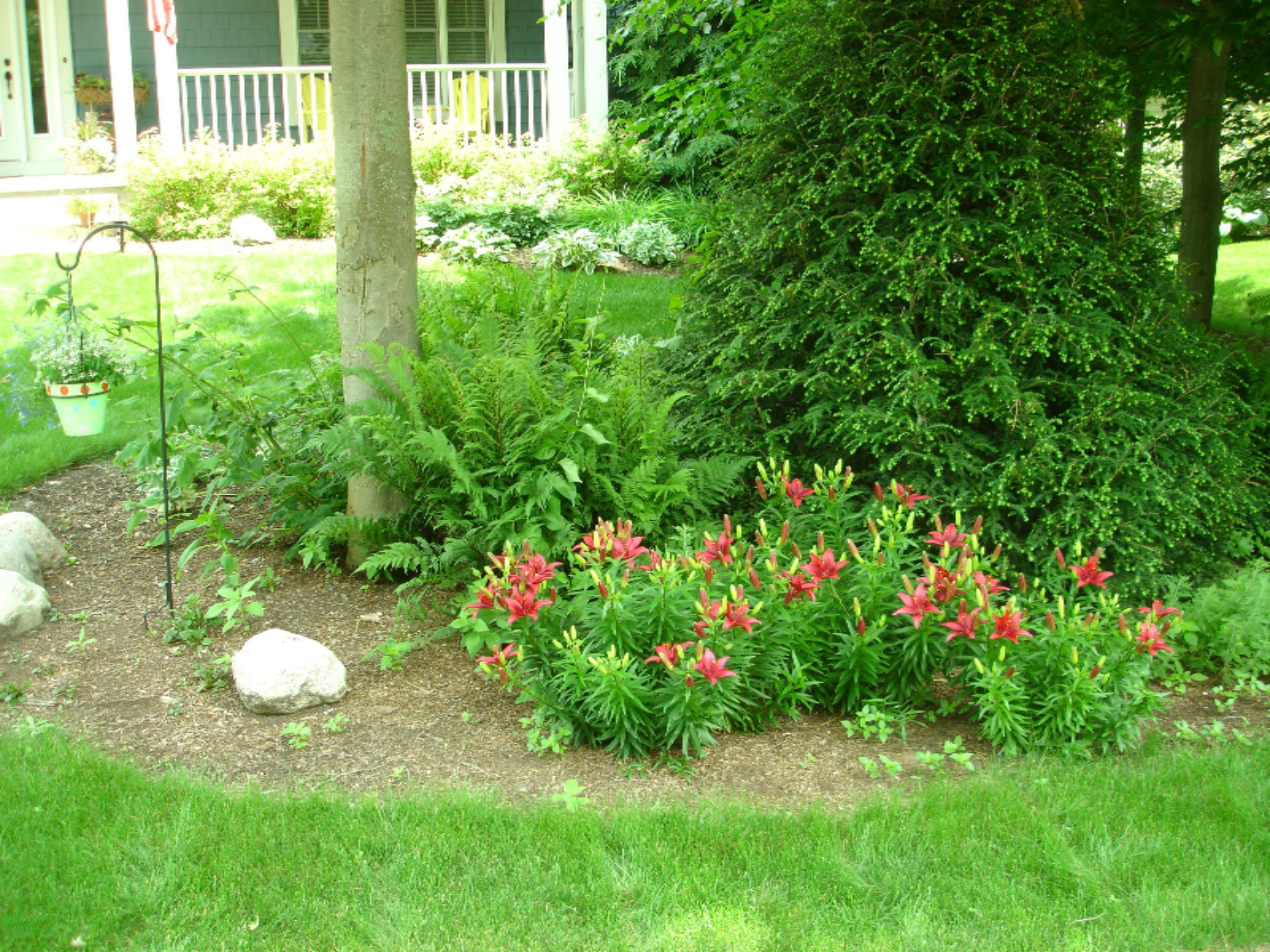 16072 Waterleaf Trail Spring Lake, MI 49456 - Photo 12 of 12 DSC04320