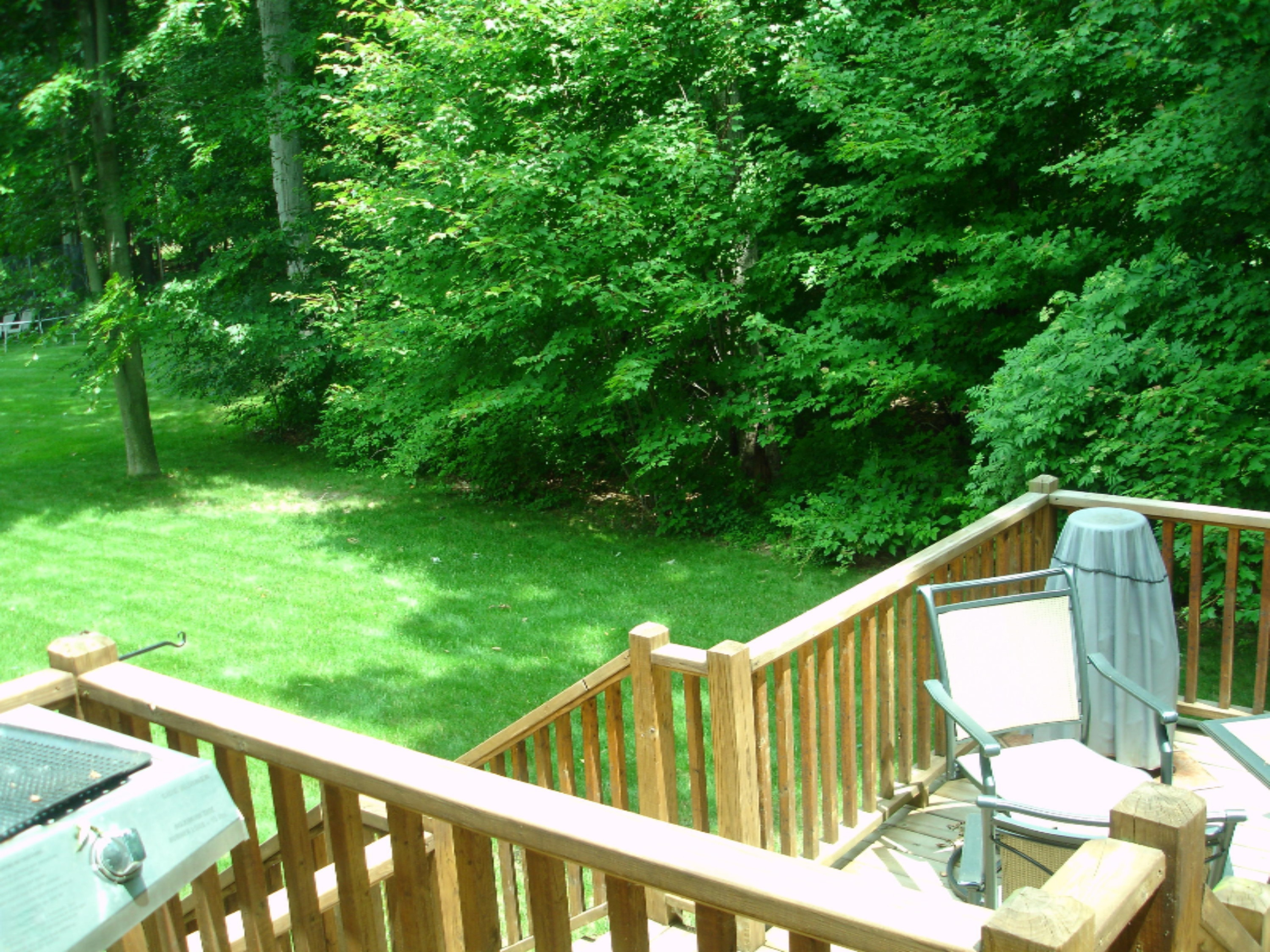 16072 Waterleaf Trail Spring Lake, MI 49456 - Photo 10 of 12 DSC04318