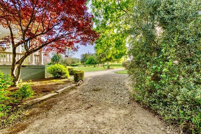 610 San Felipe Road Gilroy, CA 95020 - Photo 35 of 52 a view of a yard with plants and trees