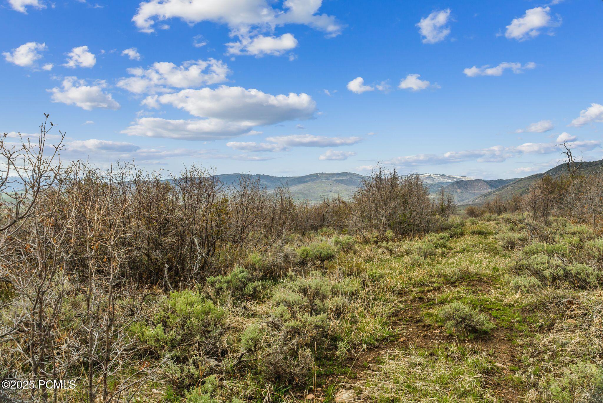 1081 Splendor Valley Road Kamas, UT 84036 - Photo 14 of 33
