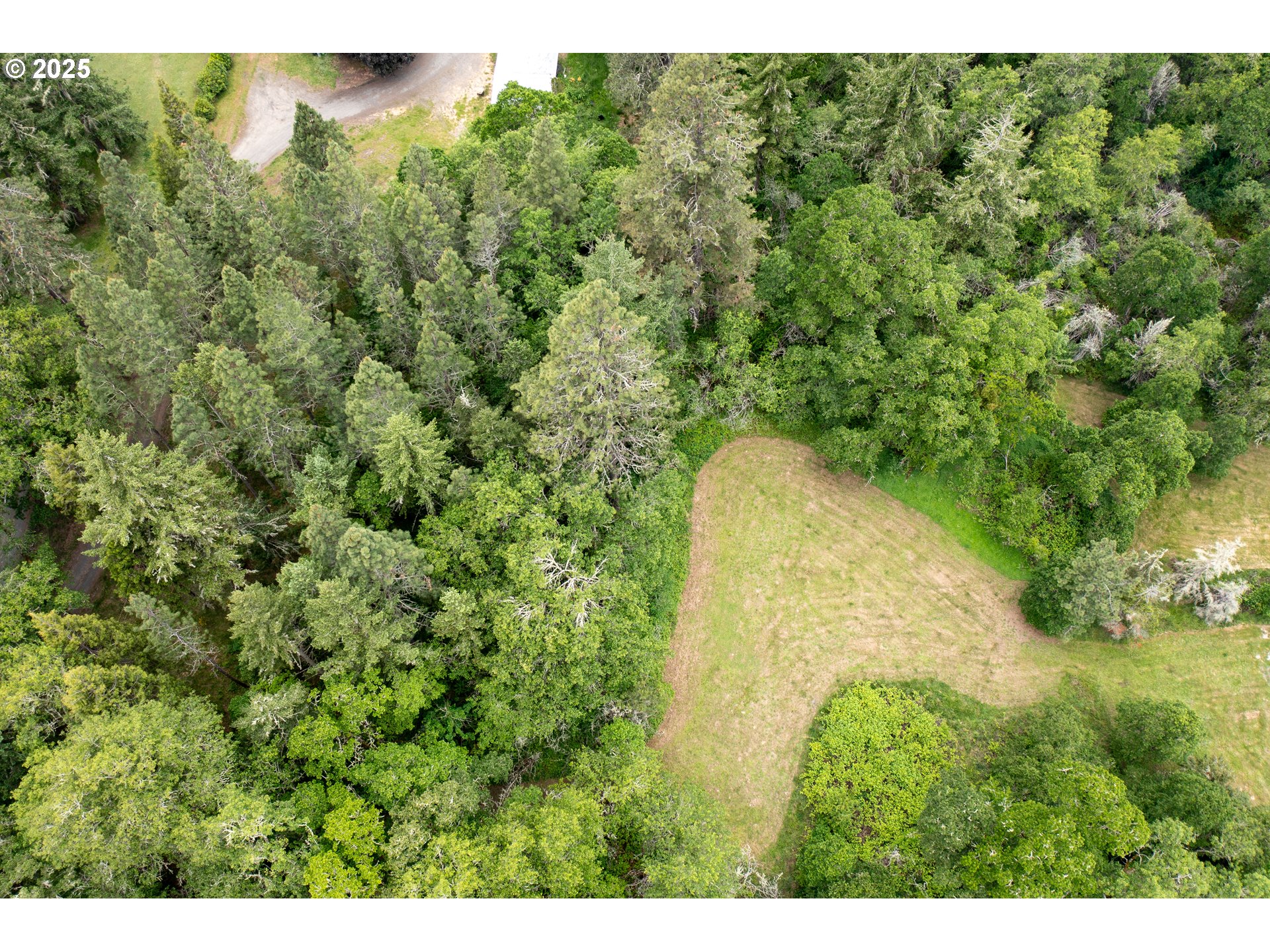 87554 Miller Road Veneta, OR 97487 - Photo 40 of 48