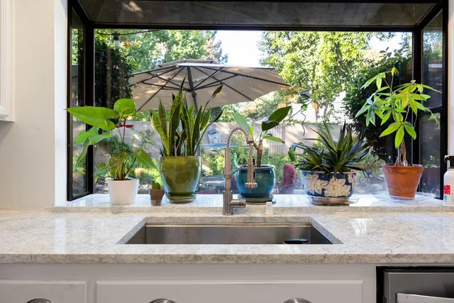 a view of sink with a potted plant on it