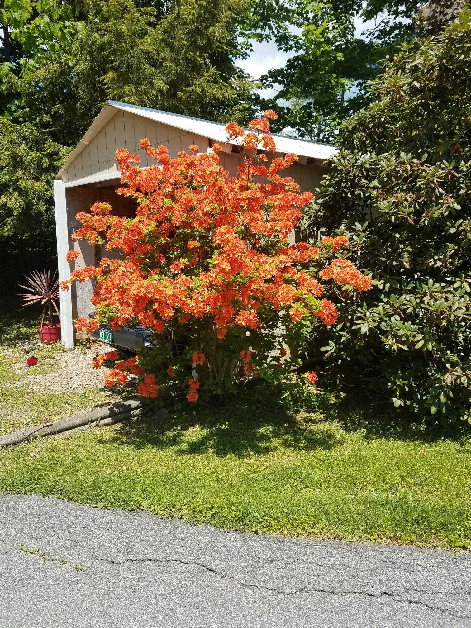 31 Highland Circle Springfield, VT 05156 - Photo 34 of 37