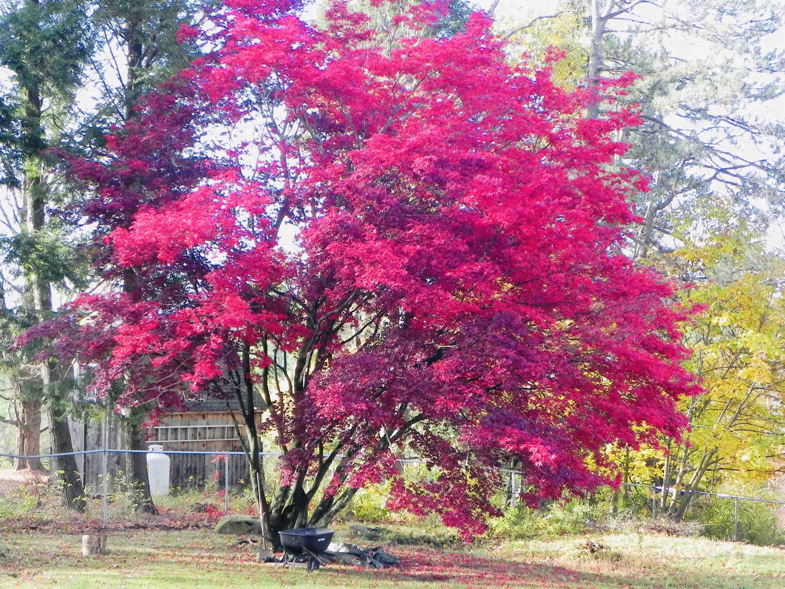 31 Highland Circle Springfield, VT 05156 - Photo 36 of 37