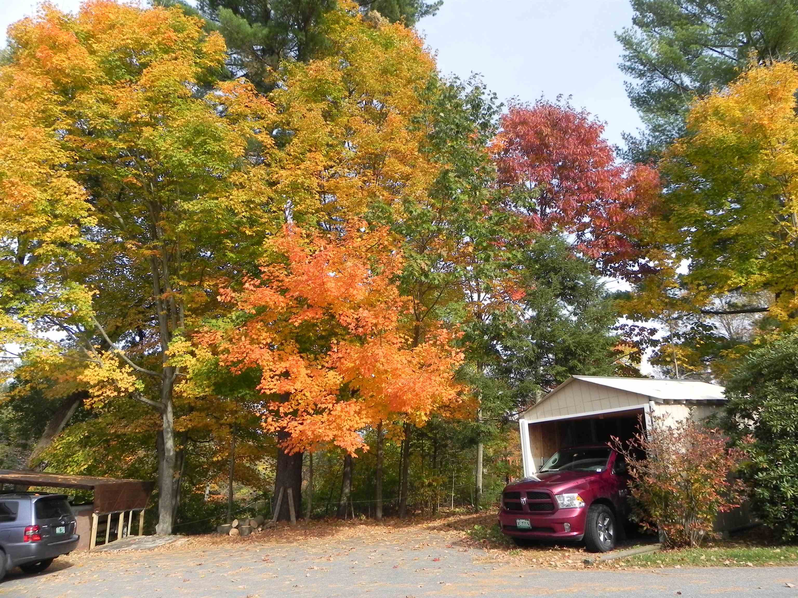 31 Highland Circle Springfield, VT 05156 - Photo 37 of 37