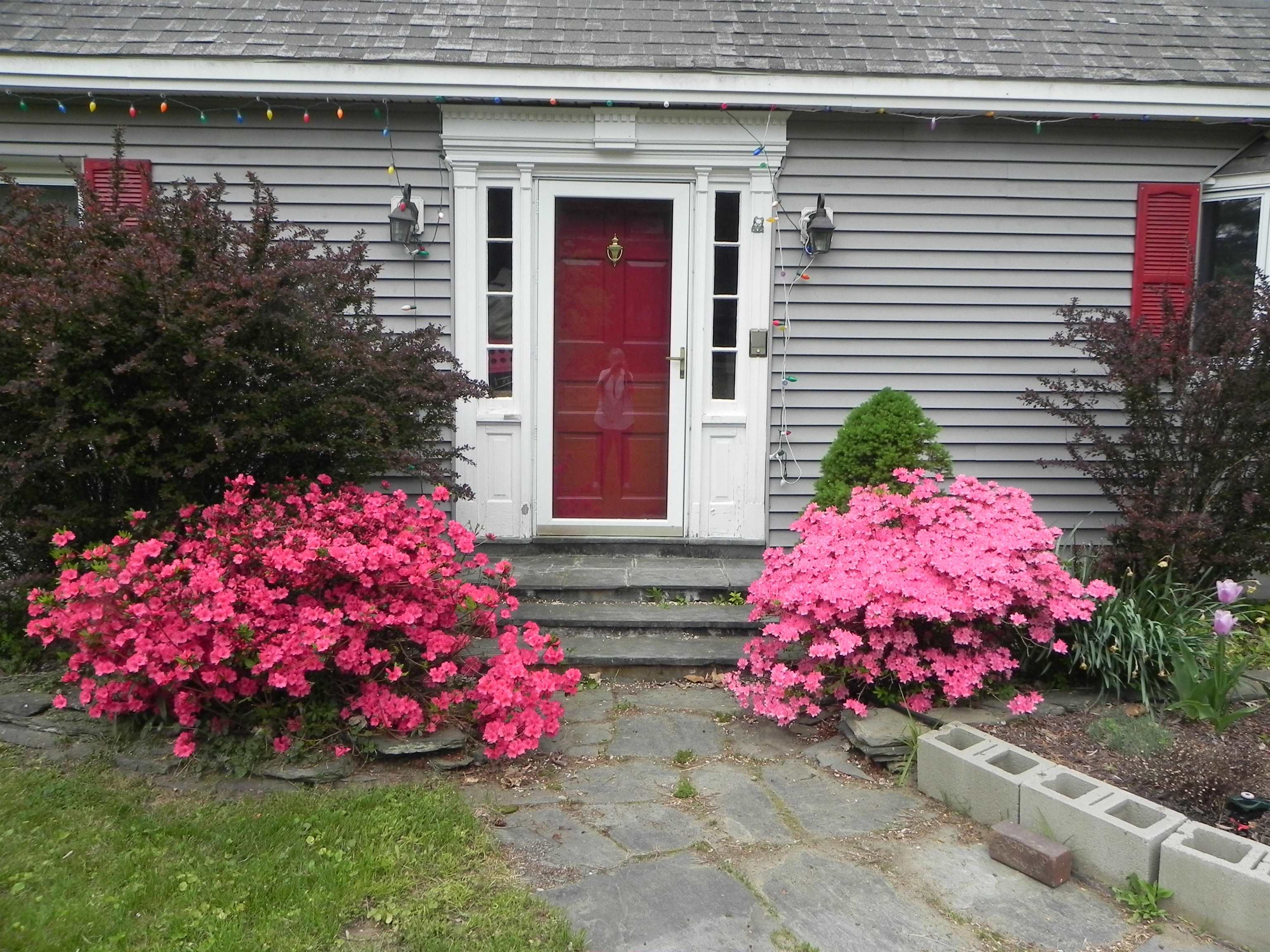 31 Highland Circle Springfield, VT 05156 - Photo 4 of 37