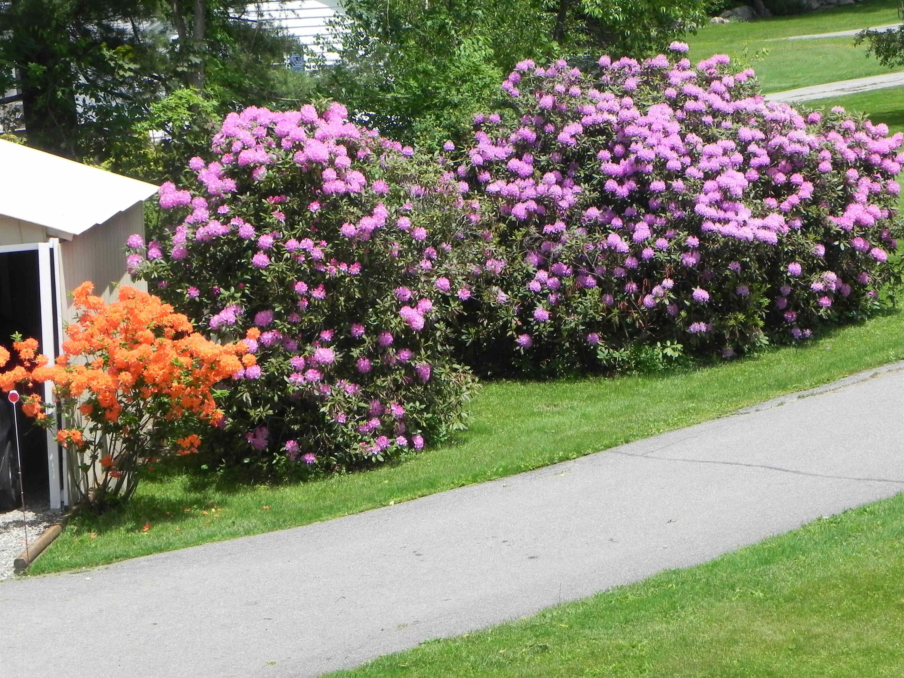 31 Highland Circle Springfield, VT 05156 - Photo 6 of 37