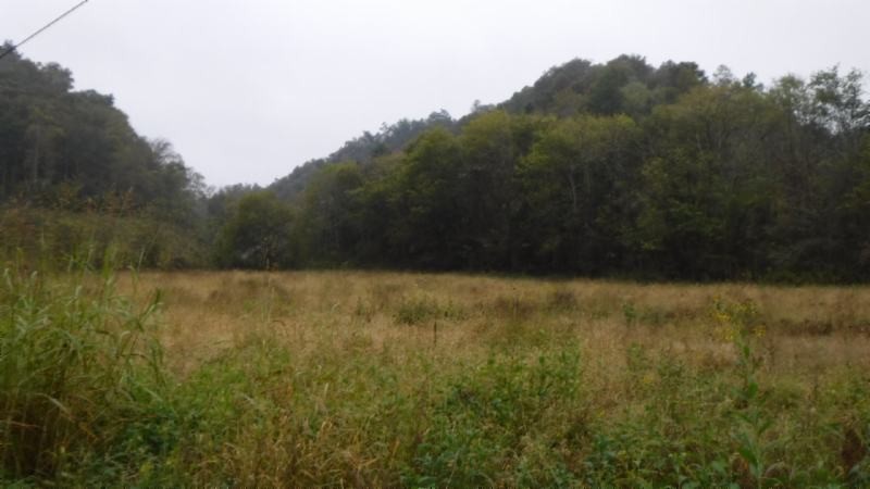 40 Hunting Creek Road Whitleyville, TN 38588 - Photo 1 of 8 Gallery Image 1