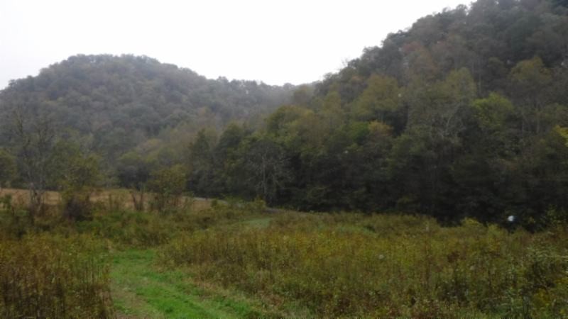 40 Hunting Creek Road Whitleyville, TN 38588 - Photo 3 of 8 Gallery Image 3