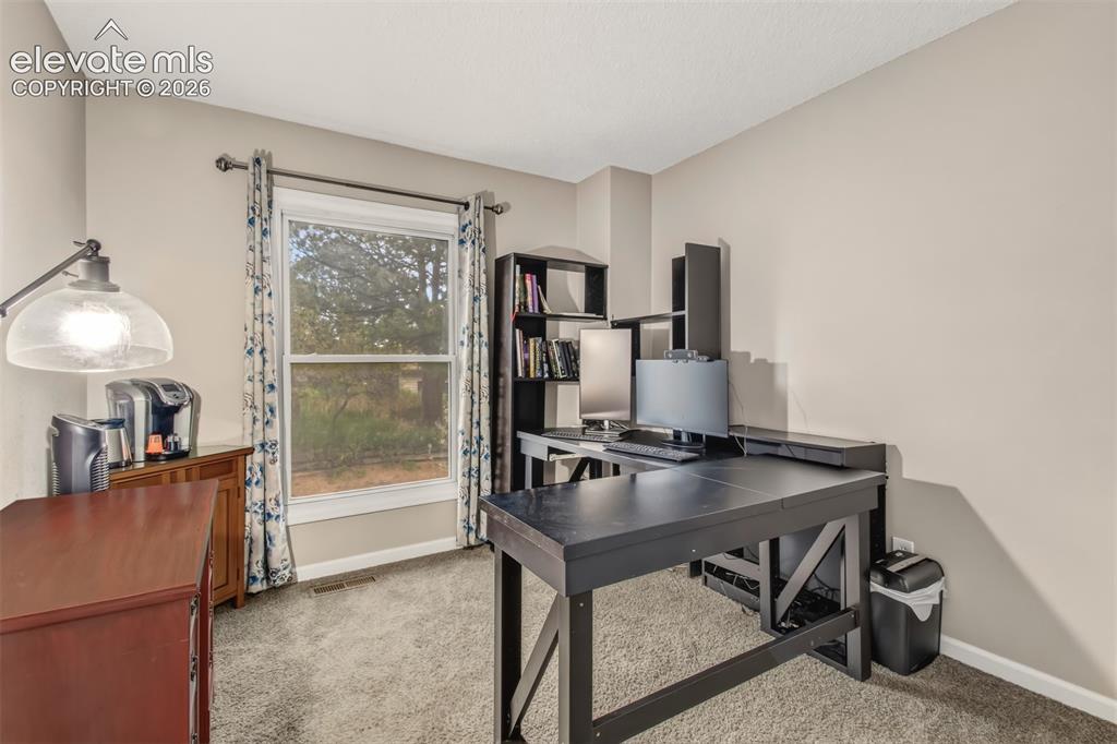 367 Raspberry Lane Monument, CO 80132 - Photo 19 of 25