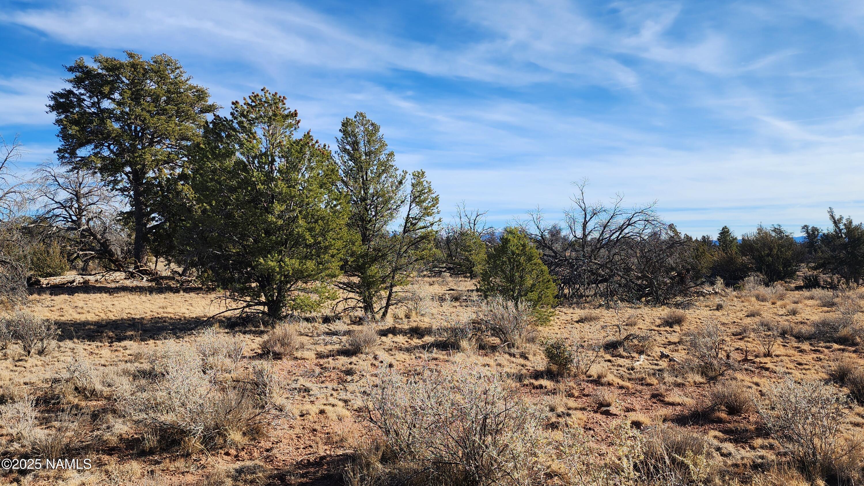 5535 Red Butte Road Williams, AZ 86046 - Photo 20 of 40 1000024116