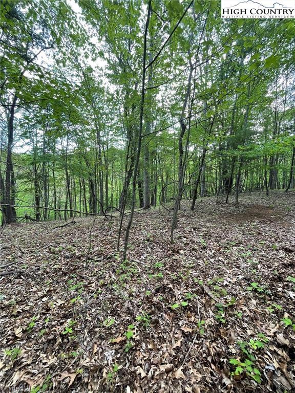 Tbd Tbd Edwin Blevins Road Lansing, NC 28643 - Photo 2 of 13