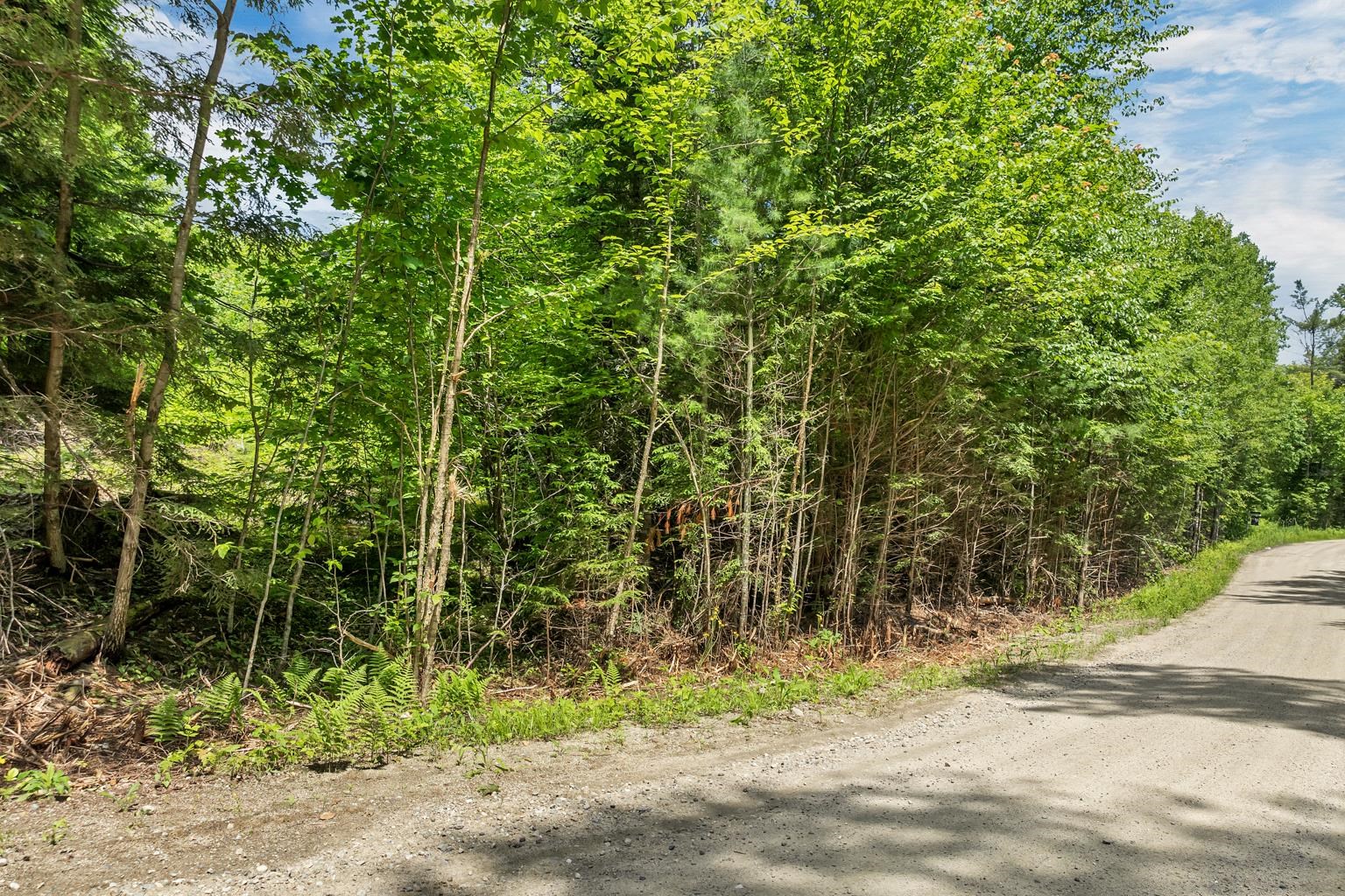 Lot 14 Centennial Way Thornton, NH 03285 - Photo 20 of 49