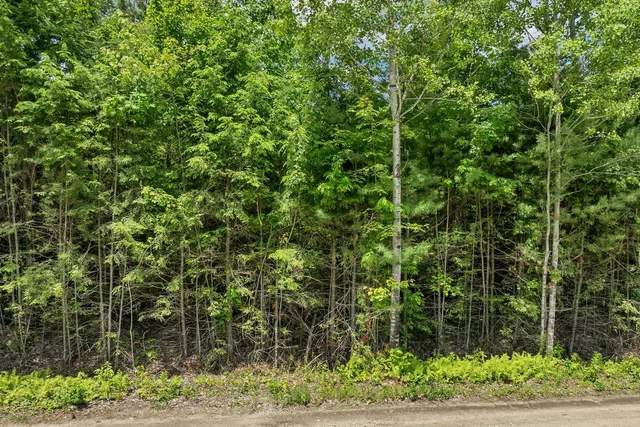 $85,000 | Lot 14 Centennial Way, Thornton, NH 03285