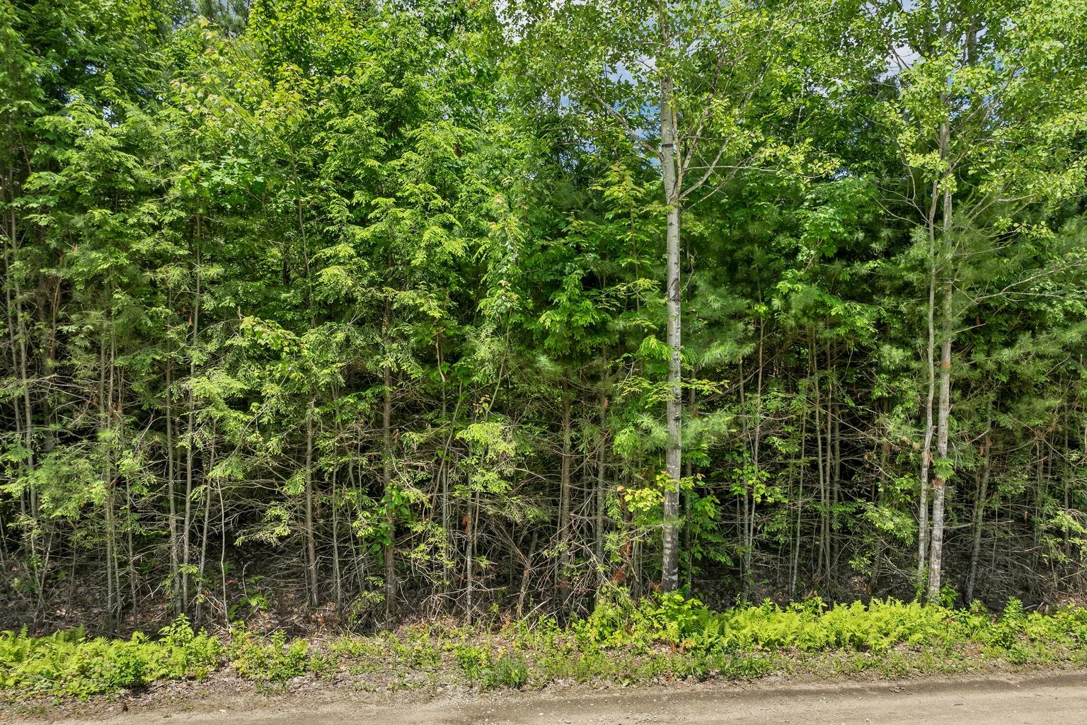 Lot 14 Centennial Way Thornton, NH 03285 - Photo 23 of 49
