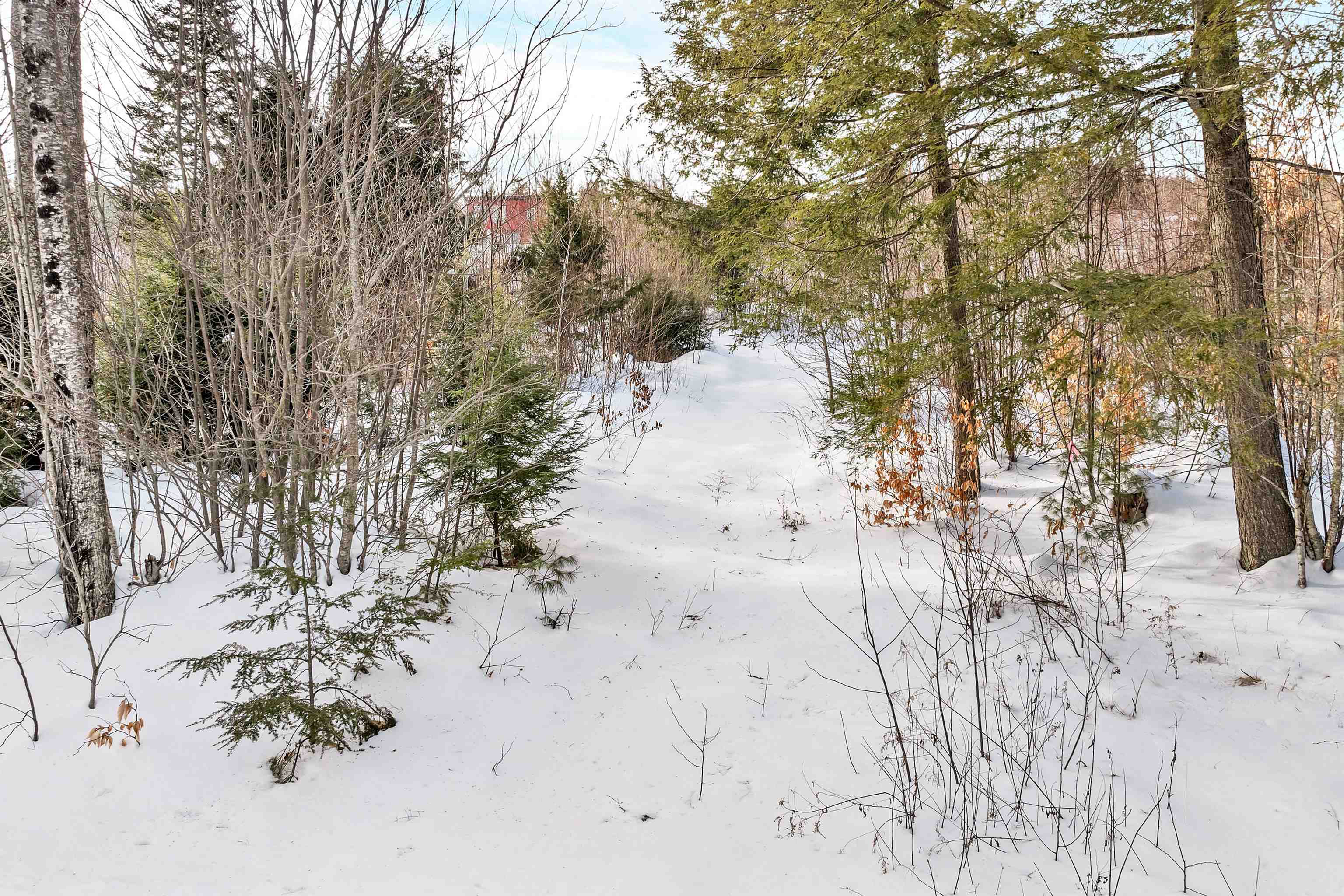 Lot 14 Centennial Way Thornton, NH 03285 - Photo 32 of 49