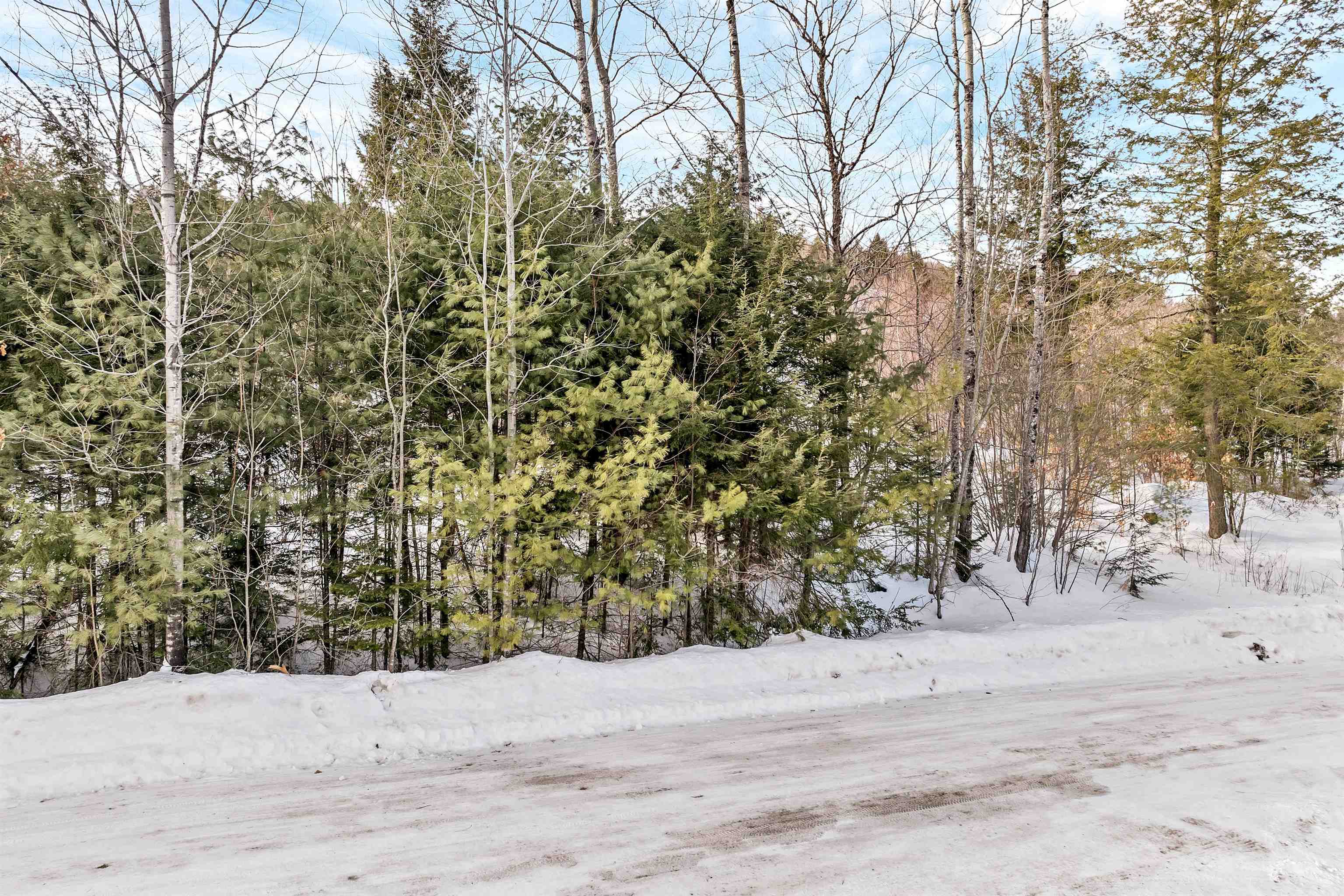 Lot 14 Centennial Way Thornton, NH 03285 - Photo 34 of 49