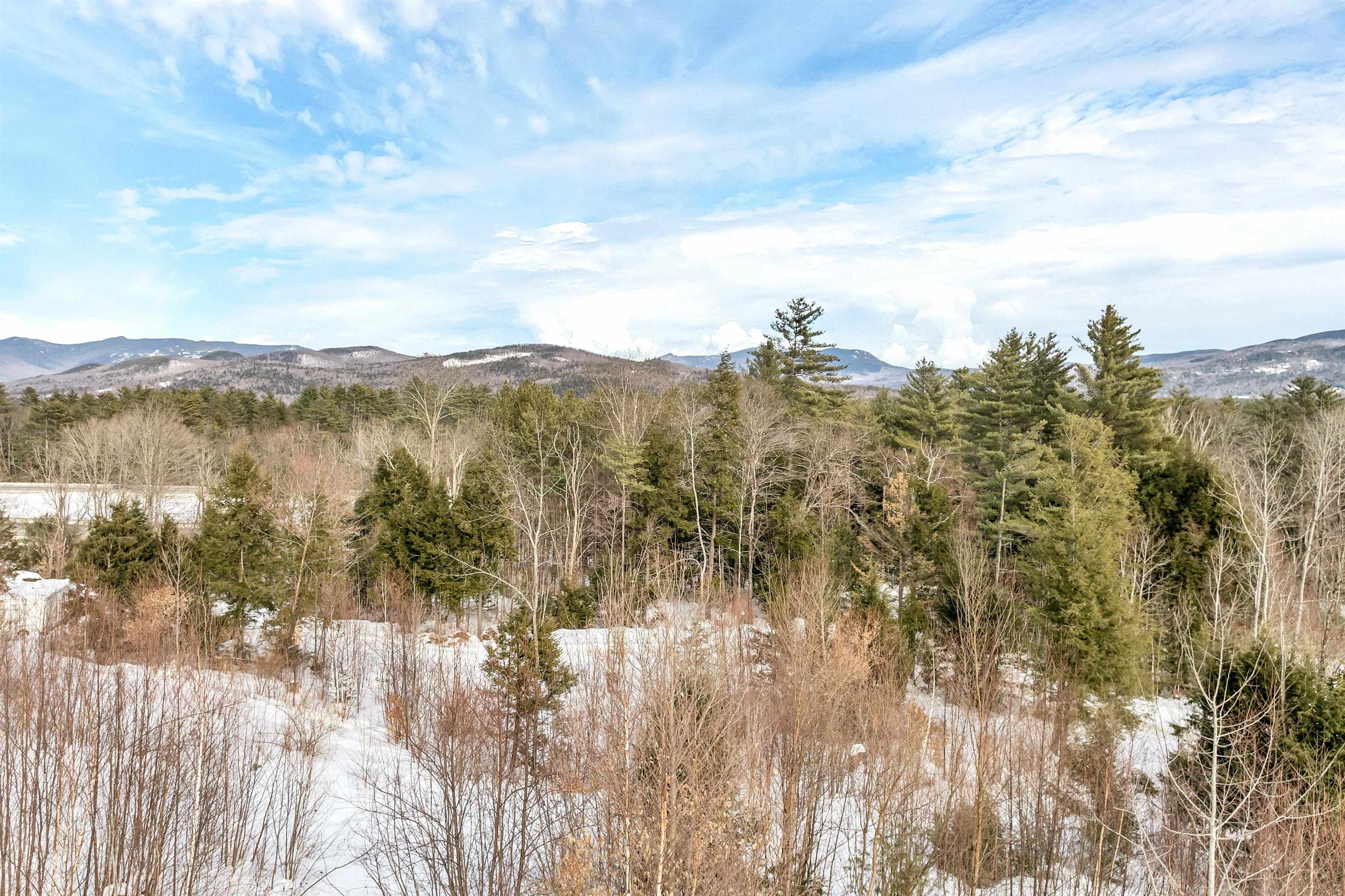 Lot 14 Centennial Way Thornton, NH 03285 - Photo 44 of 49