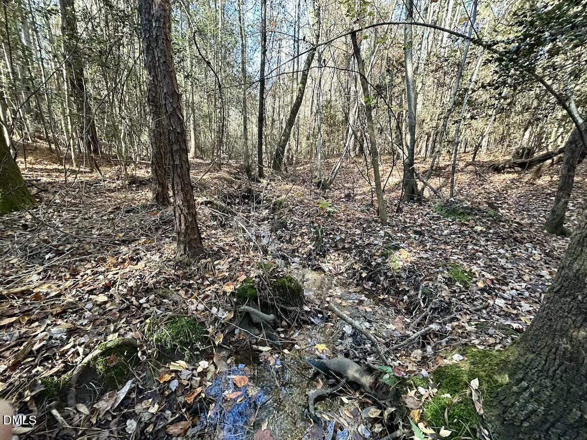 0 McDougald Road Broadway, NC 27505 - Photo 28 of 31 28