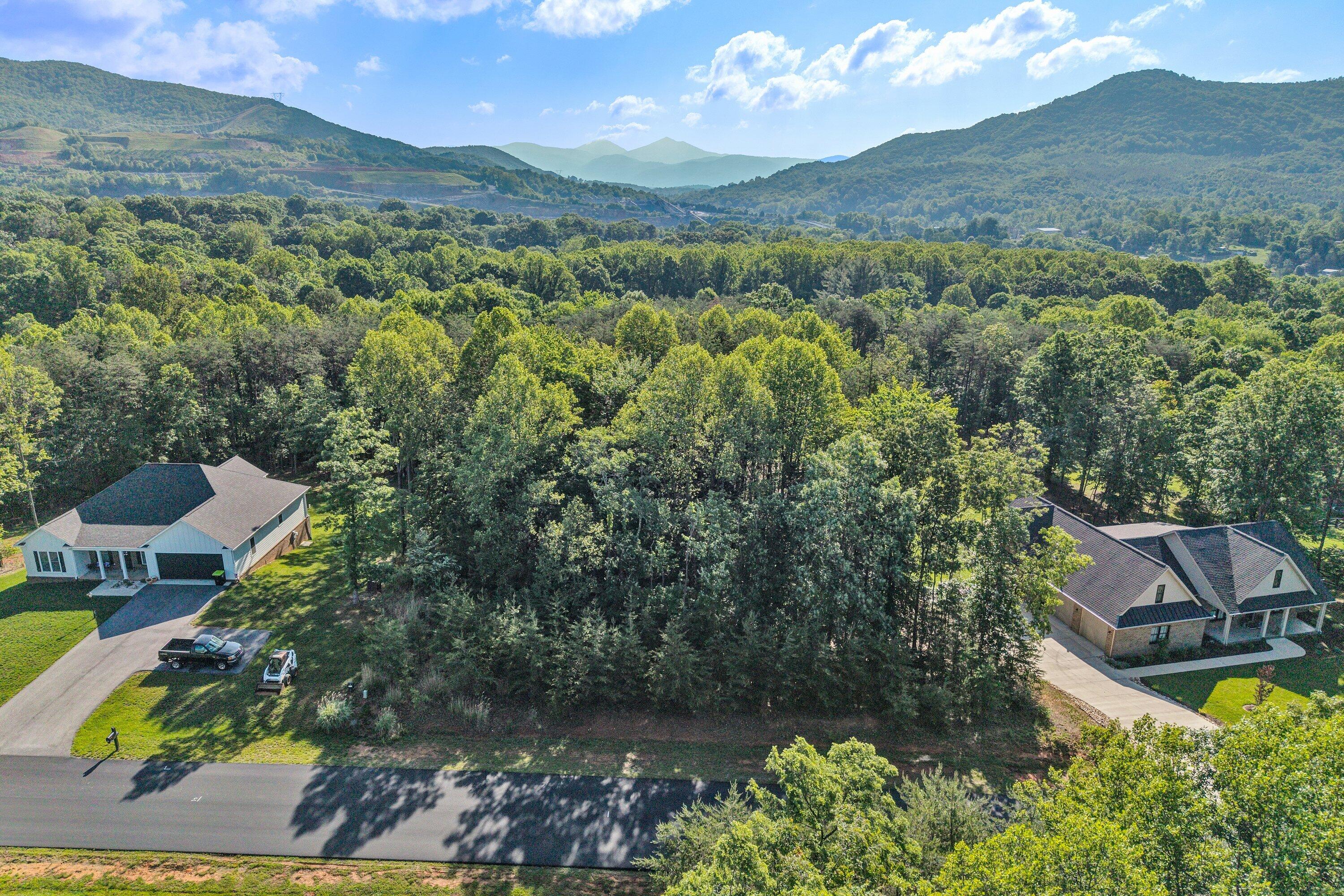 43 Thornblade Way Blue Ridge, VA 24064 - Photo 11 of 11 SGP-0010