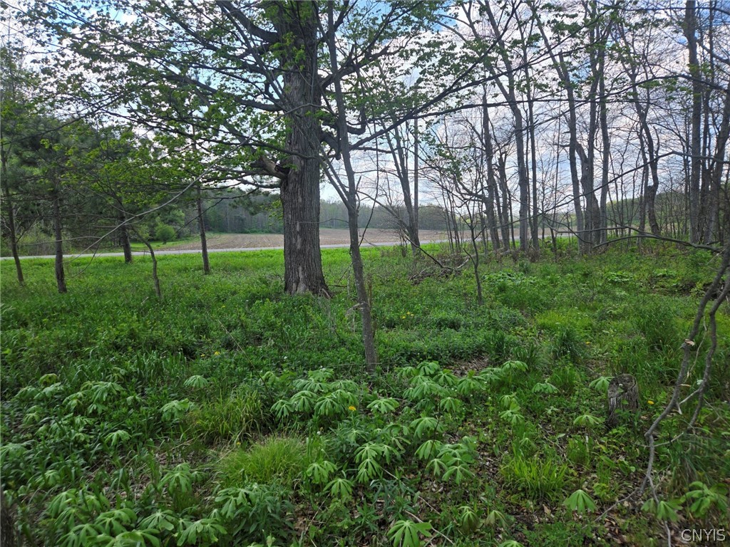 Pochuck Road Bliss, NY 14024 - Photo 12 of 23