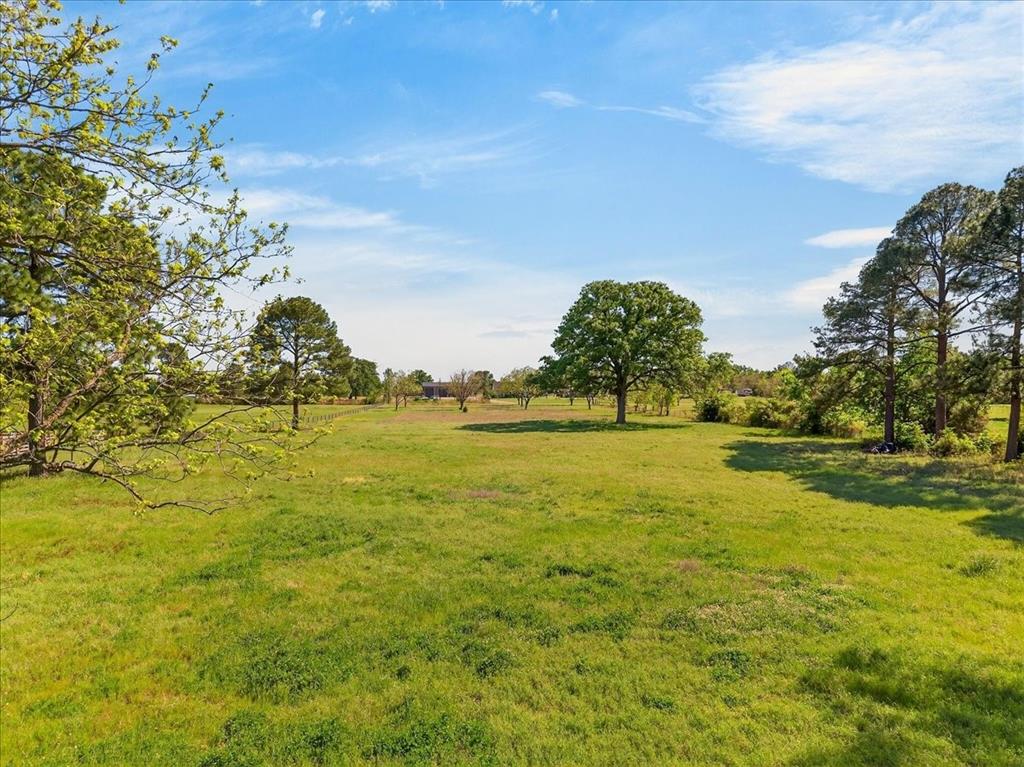 0 East Will White Road Tool, TX 75143 - Photo 5 of 15 View of grassy yard