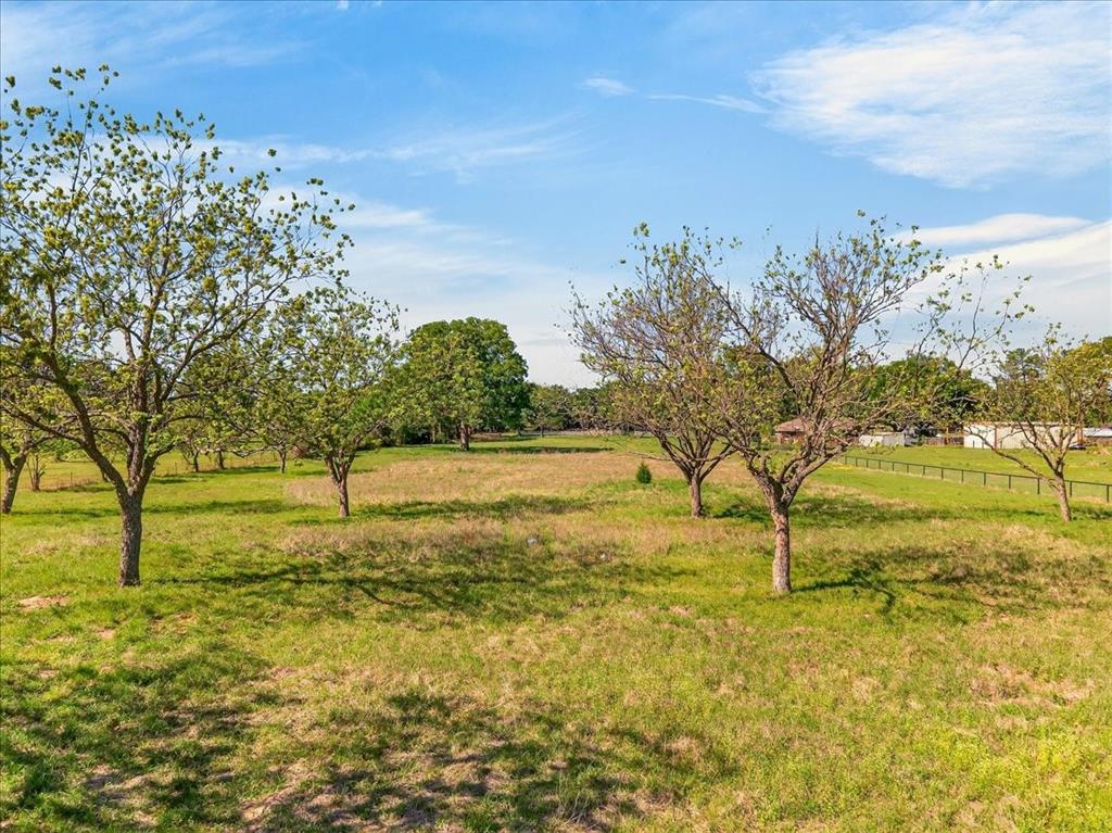 0 East Will White Road Tool, TX 75143 - Photo 6 of 15 View of yard with a view of rural / pastoral area