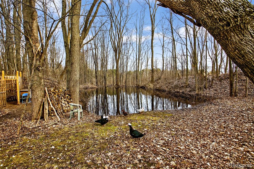 7651 Caine Road Millington, MI 48746 - Photo 2 of 22 Gallery Image 2