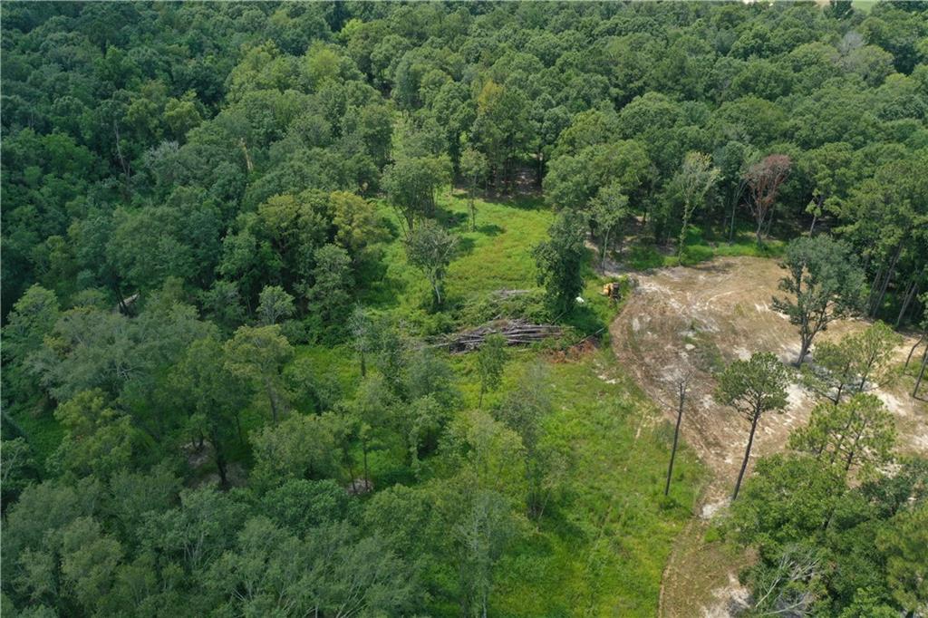 0 13186 Raehyo Lane Folsom, LA 70437 - Photo 11 of 37