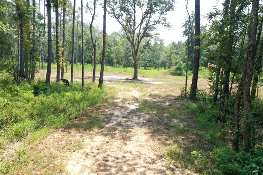 0 13186 Raehyo Lane Folsom, LA 70437 - Photo 35 of 37