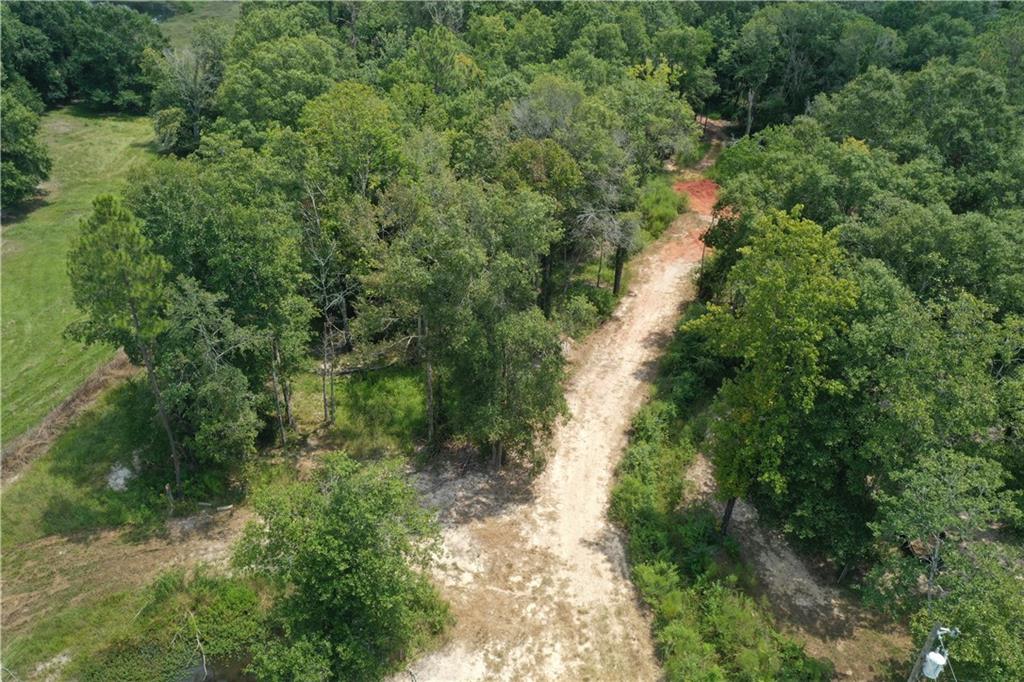 0 13186 Raehyo Lane Folsom, LA 70437 - Photo 6 of 37