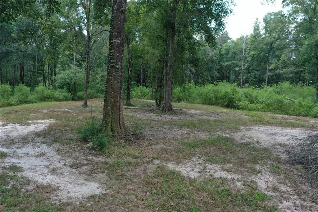 0 13186 Raehyo Lane Folsom, LA 70437 - Photo 7 of 37