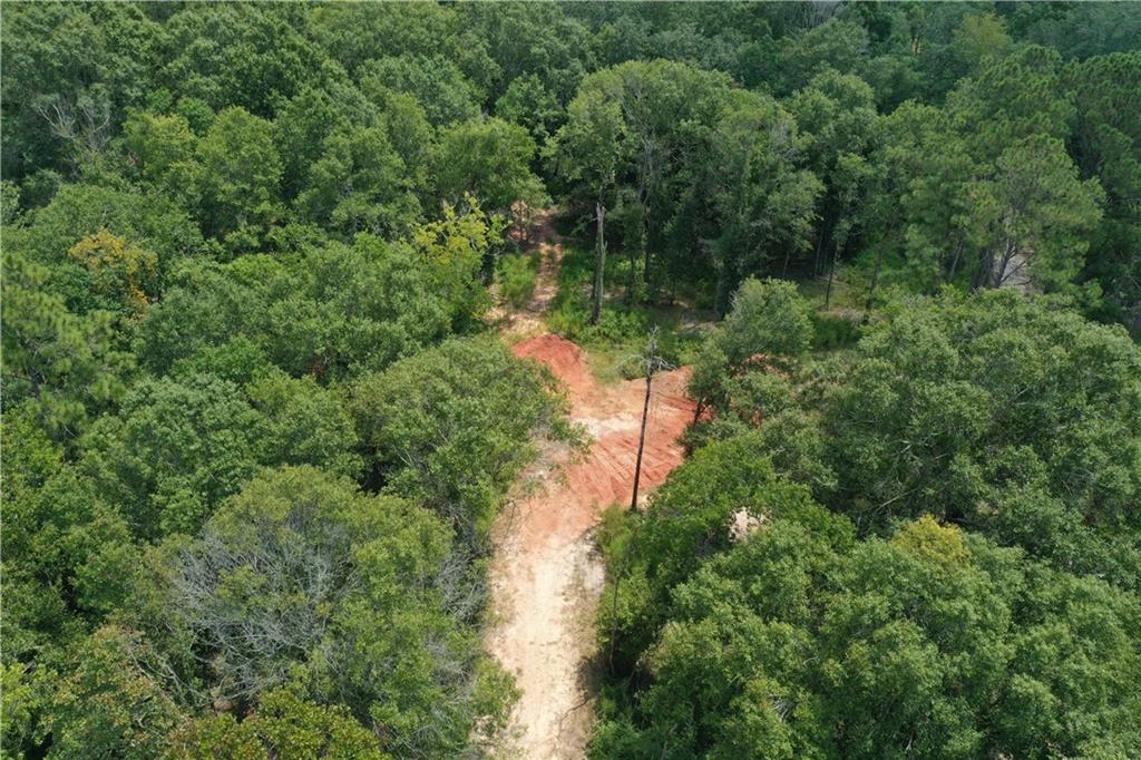 0 13186 Raehyo Lane Folsom, LA 70437 - Photo 9 of 37
